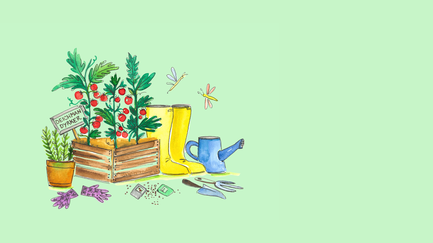 Illustrasjon av hageredskaper, planter og gummistøvler