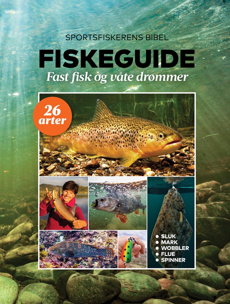 Fiskeguide : fast fisk og våte drømmer : sportsfiskerens bibel