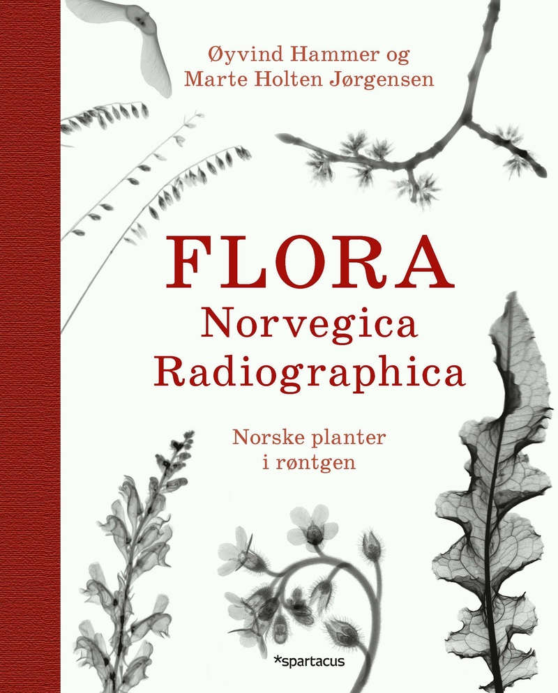 Flora Norvegica radiographica : norske planter i røntgen