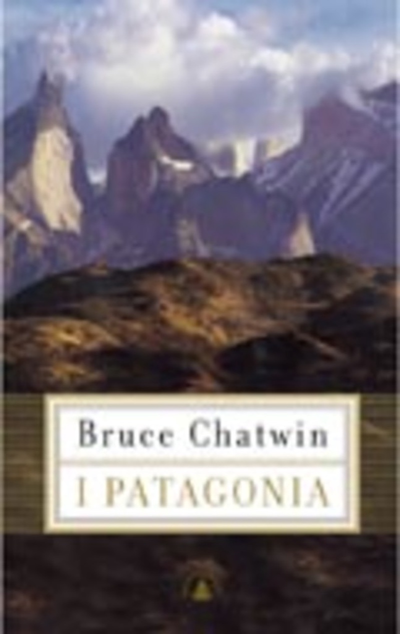 I Patagonia