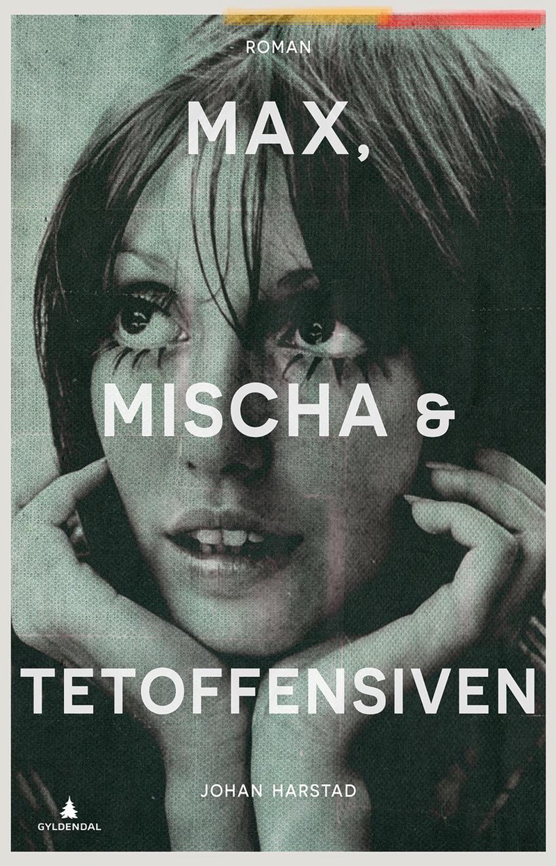 Max, Mischa og tetoffensiven : roman