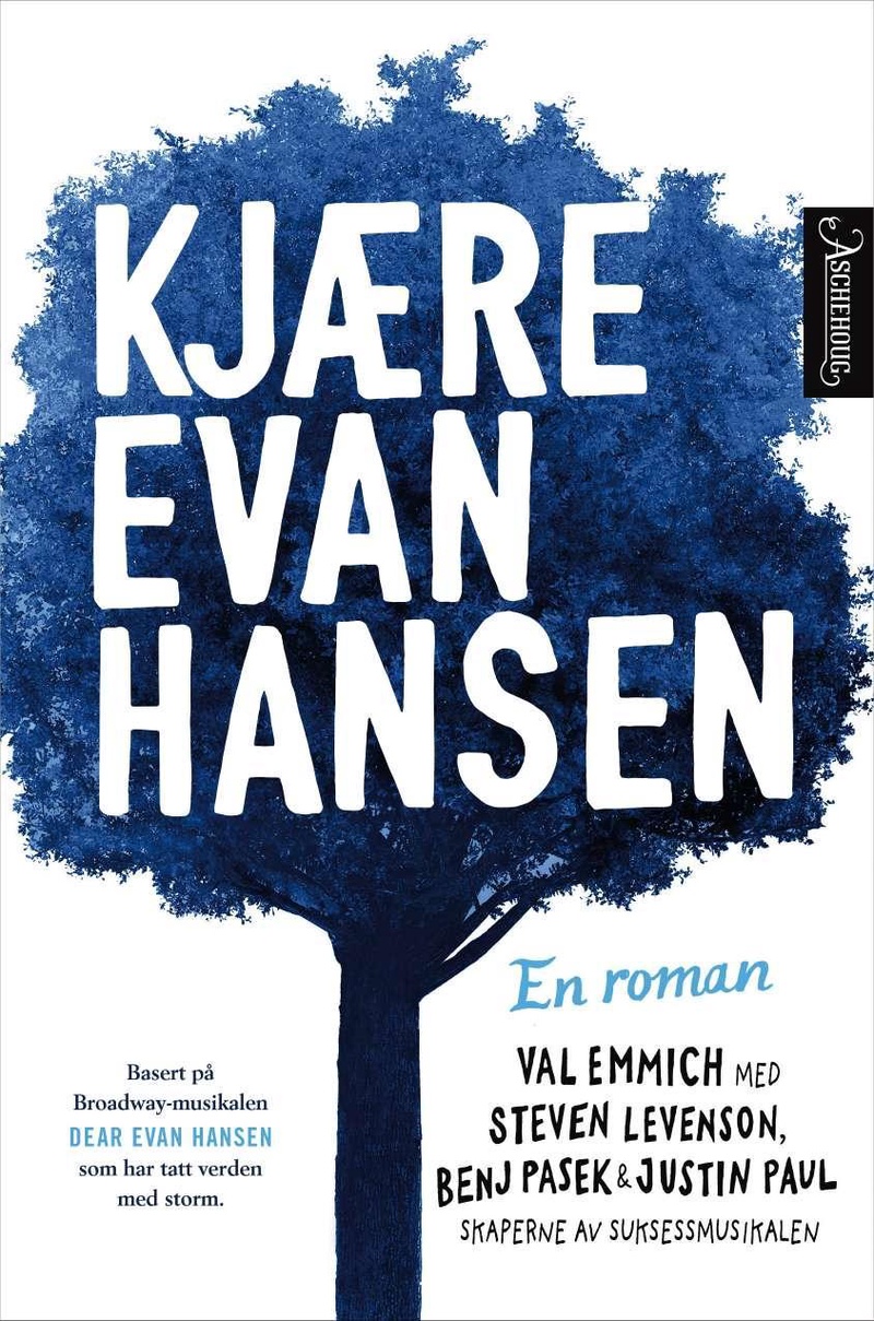 Kjære Evan Hansen : en roman