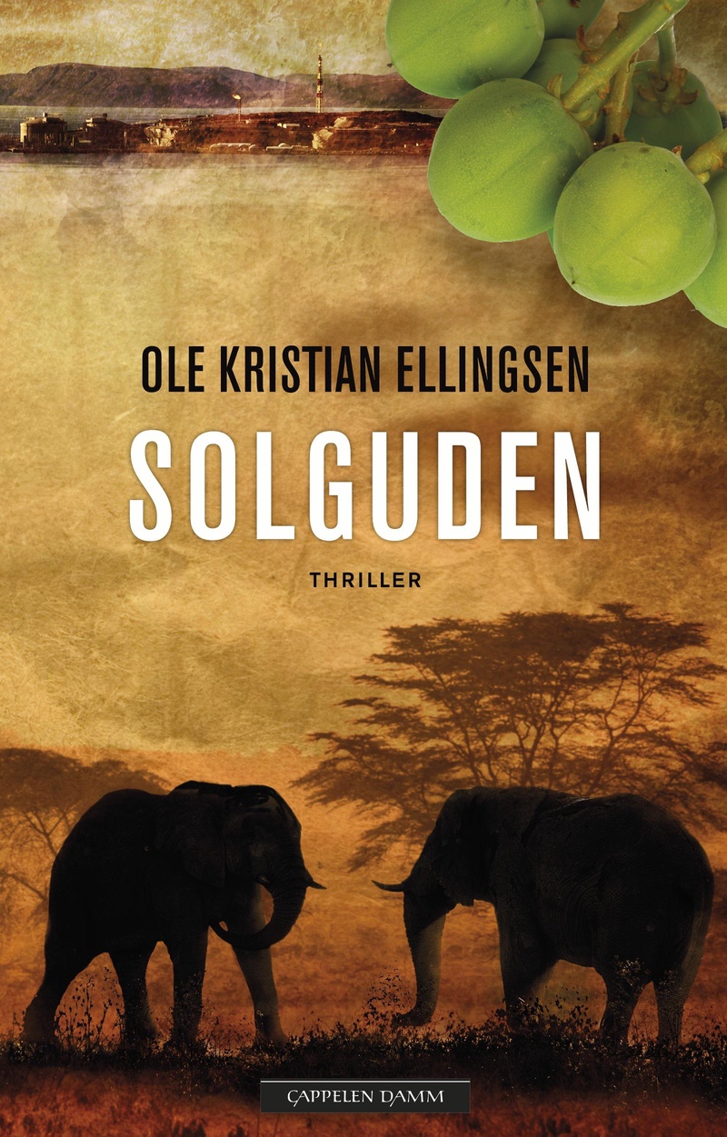Solguden : thriller