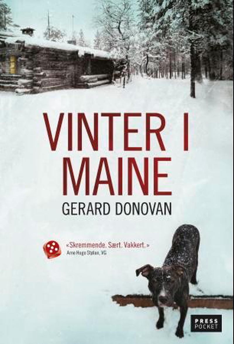 Vinter i Maine : roman