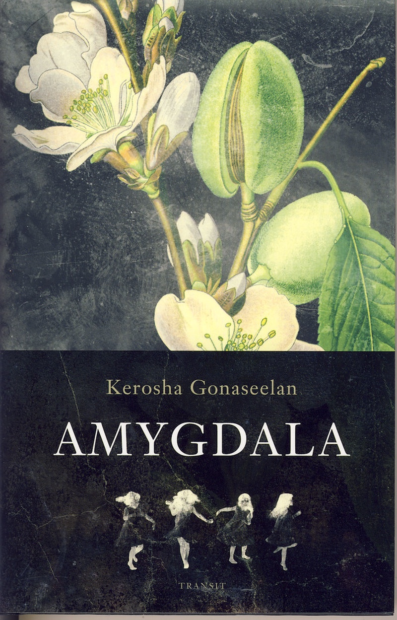 Amygdala : roman