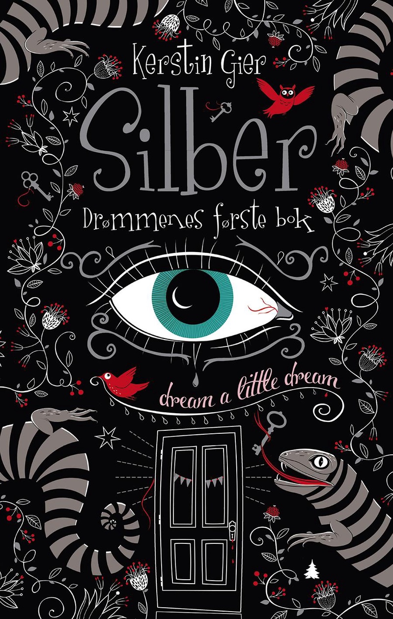 Silber : drømmenes første bok : roman