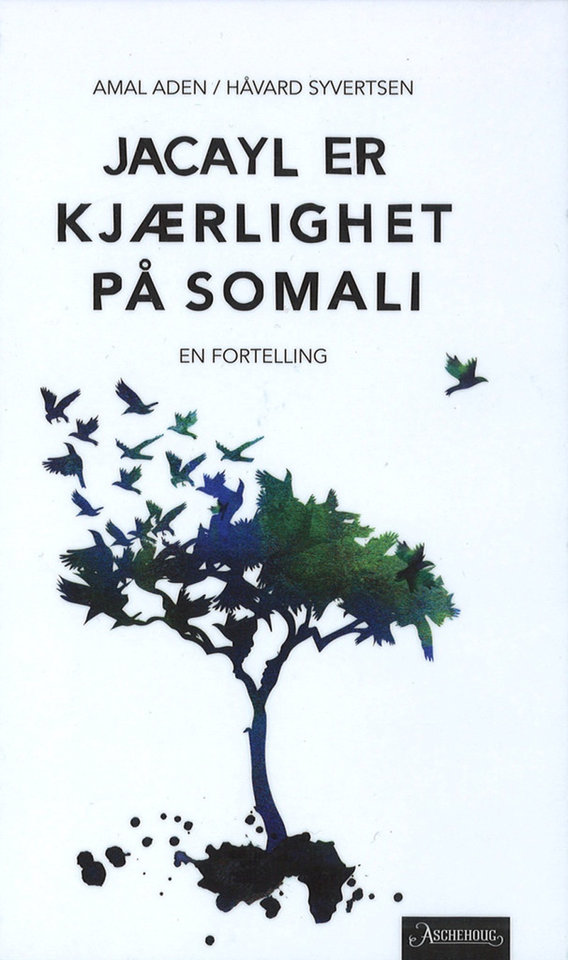 Jacayl er kjærlighet på somali : en fortelling