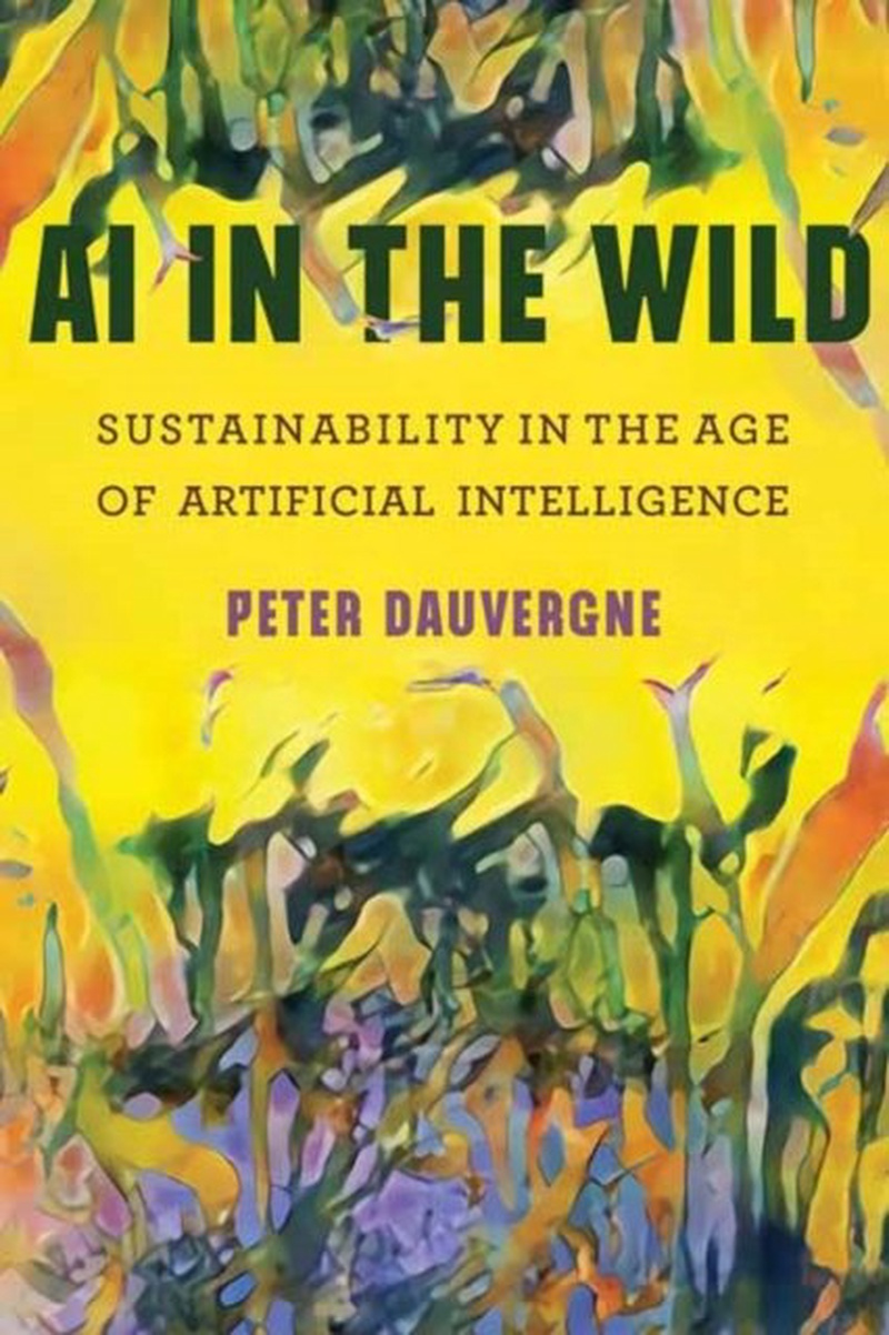 AI in the wild : sustainability in the age of artificial intelligence