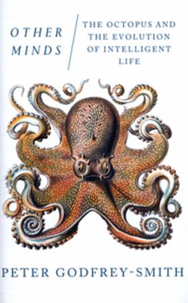 Other minds : the octopus and the evolution of intelligent life