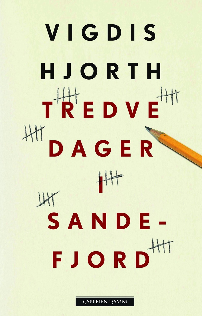 Tredve dager i Sandefjord : roman